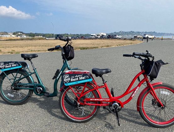 Pedego Electric Bikes